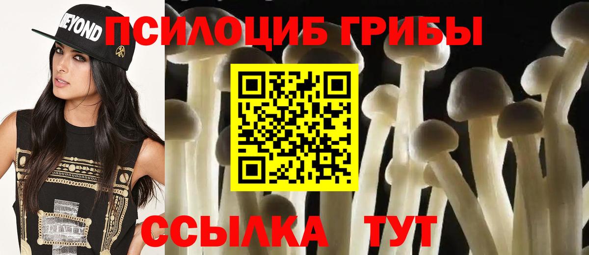 Бахчисарай  Галлюциногенные грибы мухоморы  Вход с VPN 